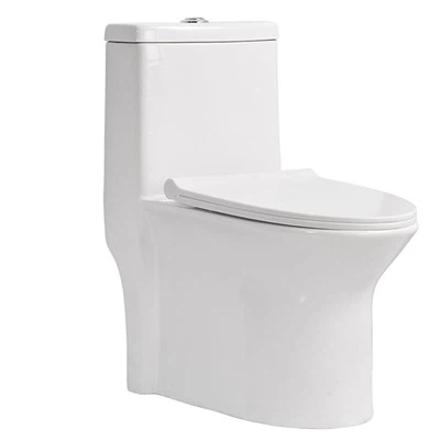 Siphon One Piece Toilet